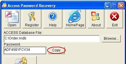 Access Password Recovery(密码恢复软件)截图
