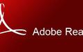 Adobe Reader XI Mac版截图
