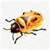 Firebug