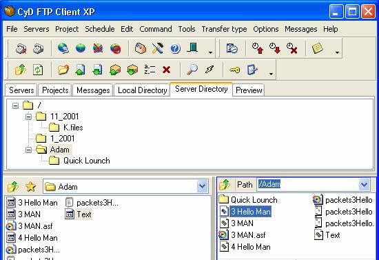 CyD FTP Client