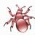 图片爬取工具(CrawlWorm Picture)