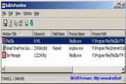 BulletsPassView x64 1.32