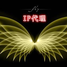 IP代理软件