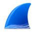 Wireshark中文版 3.2.1