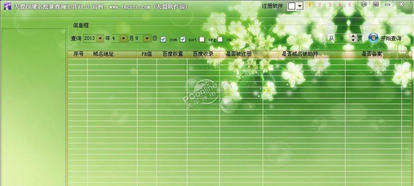 天盟PR域名批量查询工具 1.0