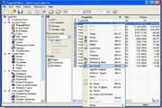 Web Log Explorer
