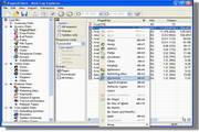 Web Log Explorer Lite 7.6.0