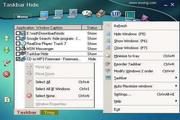 Free Internet Window Washer