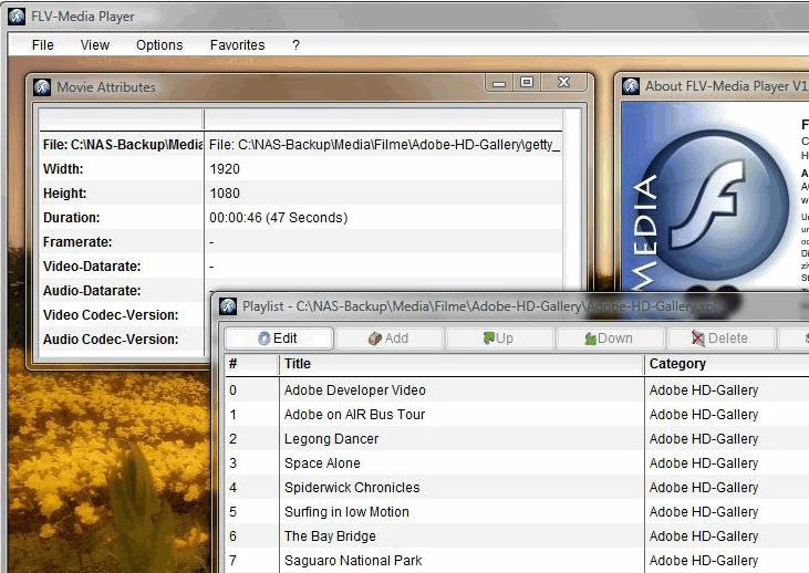 FLV-Media Player