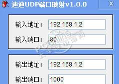 迪迪UDP端口映射