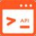 ApiPos Chrome插件