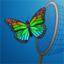 WinCapture 2009