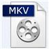 MKV转换器