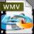 4Easysoft Blu-ray to WMV Ripper(蓝光翻录工具)