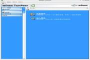 TunPeer虚拟网络客户端 1.29