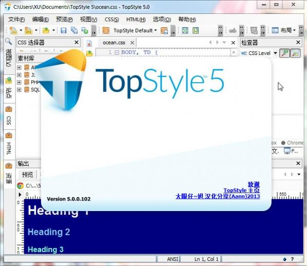 TopStyle Pro(CSS设计利器) v5.0.0.104