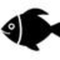 Copyfish chrome插件