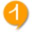 FlashTalk 2.1 Build 97