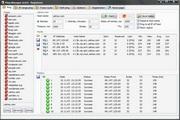 ICMP Ping