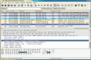 Wireshark Portable 2.0.4