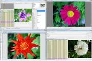 Portable WildBit Viewer 6.3