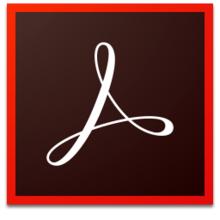 Adobe Acrobat DC 2019.021.20061