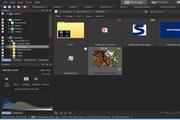 ACDSee Pro