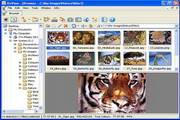 XnViewMP