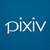 pixiv动态图下载工具(pixiv animat downloader)