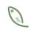 Catfish(鲶鱼)CMS