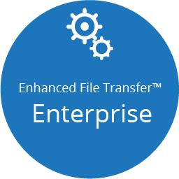 EFT Server 6.2.31
