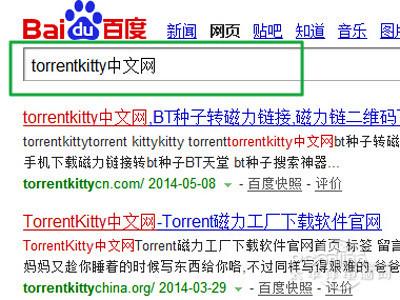 torrentkitty打不开怎么办