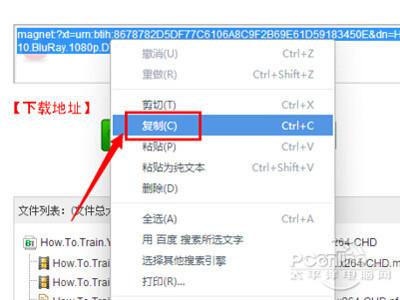 torrentkitty怎么用?教你轻松免费看电影