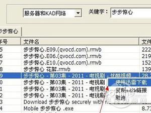 P2P种子搜索器怎么用