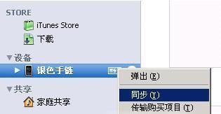无法连接到app store怎么办