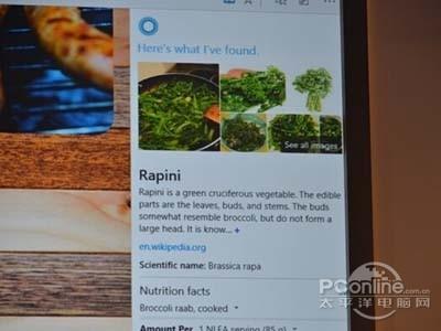 IE不见了？Windows 10全新浏览器截图