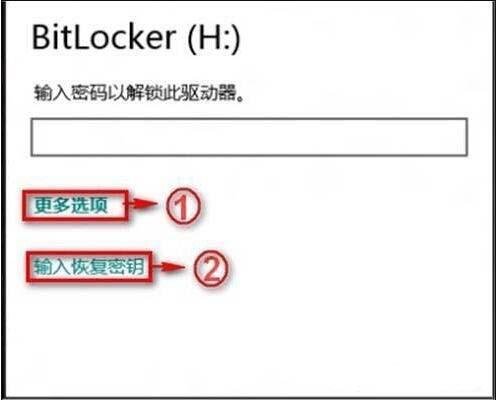 win8系统bitlocker密码忘记了怎么办 win8系统bitlocker密码忘记了解决方法