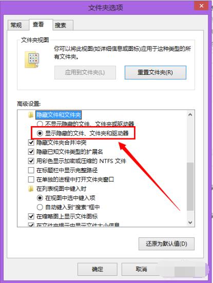 如何打开隐藏文件,小编教你win8如何打开隐藏文件