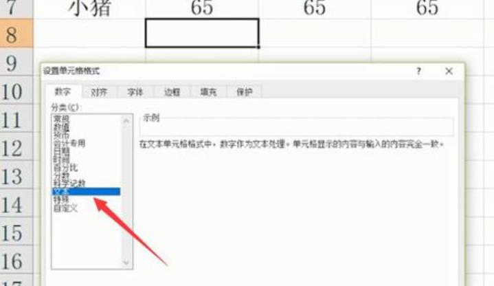 excel表格的基本操作,小编教你excel表格的基本操作技巧
