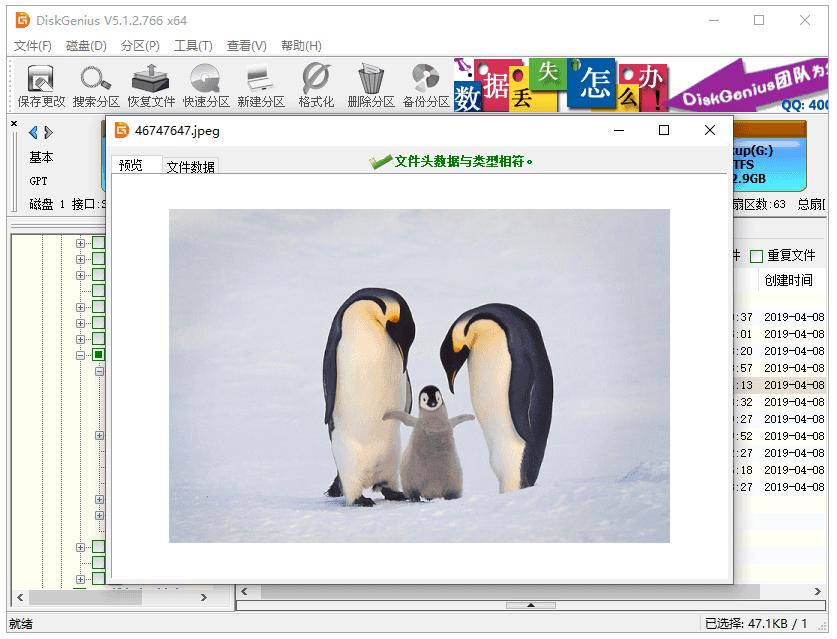照片数据如何恢复