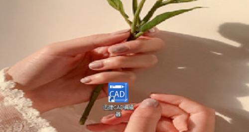 为你解答如何打开dwg格式文件