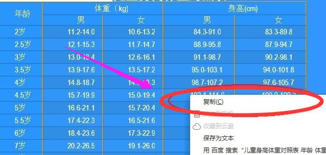 小编教你电脑Word工具无法复制粘贴