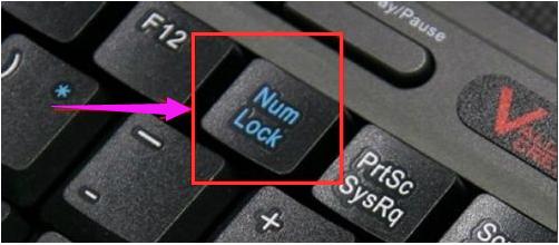 笔记本键盘变数字,小编教你笔记本键盘字母变数字怎么办