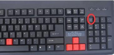 笔记本键盘变数字,小编教你笔记本键盘字母变数字怎么办