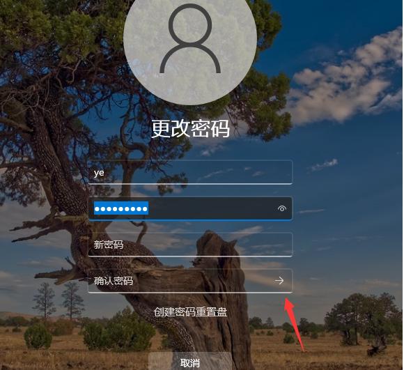 win11取消开机密码的详细教程