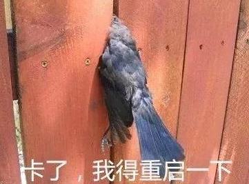 重装win7时一直停留在应用系统设置怎么办