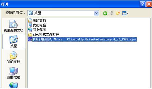展示djvu文件用什么打开 djvu文件打开方法介绍