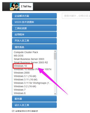win10 msdn,小编教你如何在msdn中win10镜像