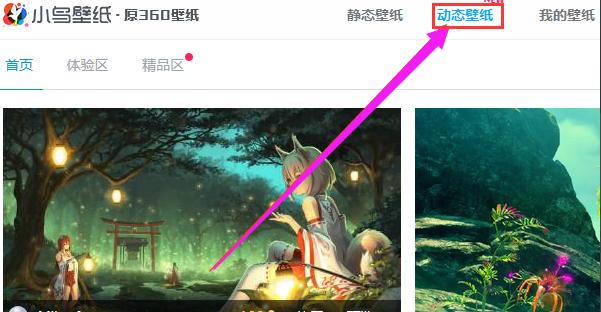 win8怎么设置动态桌面