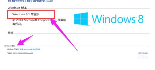 WIN8 激活,小编教你怎么激活win8专业版